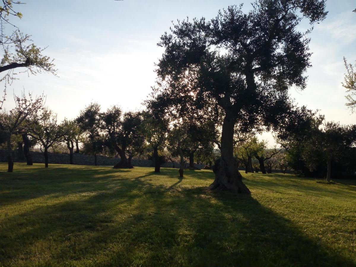 カステッラーナ・グロッテ Trulli Oasi Fiorita - Exclusive Apulian Holidaysヴィラ エクステリア 写真